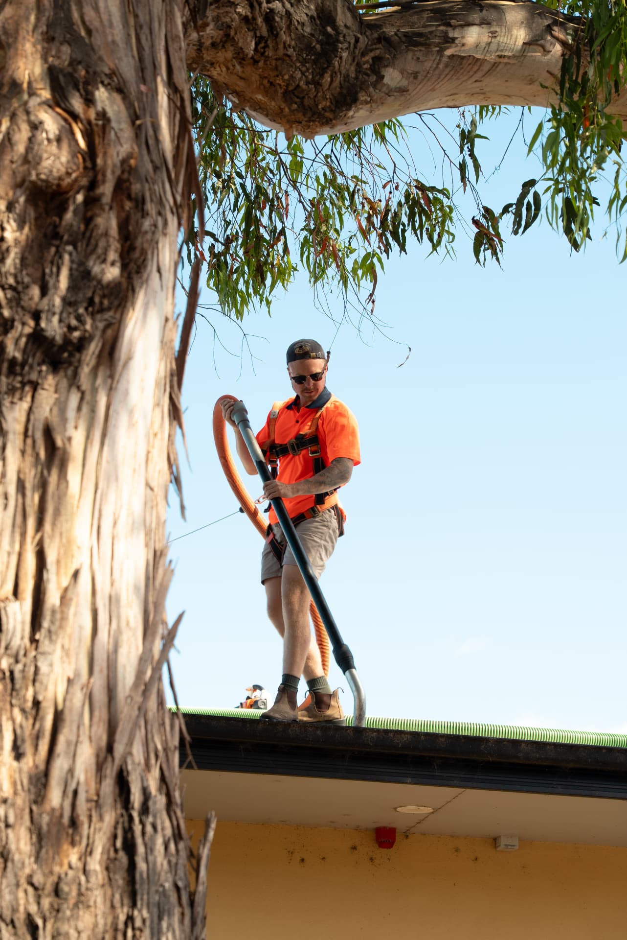 Harnessed up and vacuuming the gutter line out, debris straight to the truck.