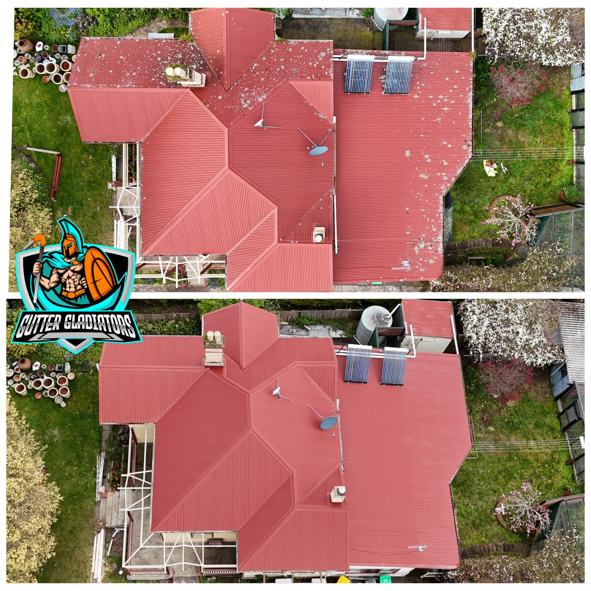 Top: lichen spread across the sheets. Bottom: the same roof after treatment.