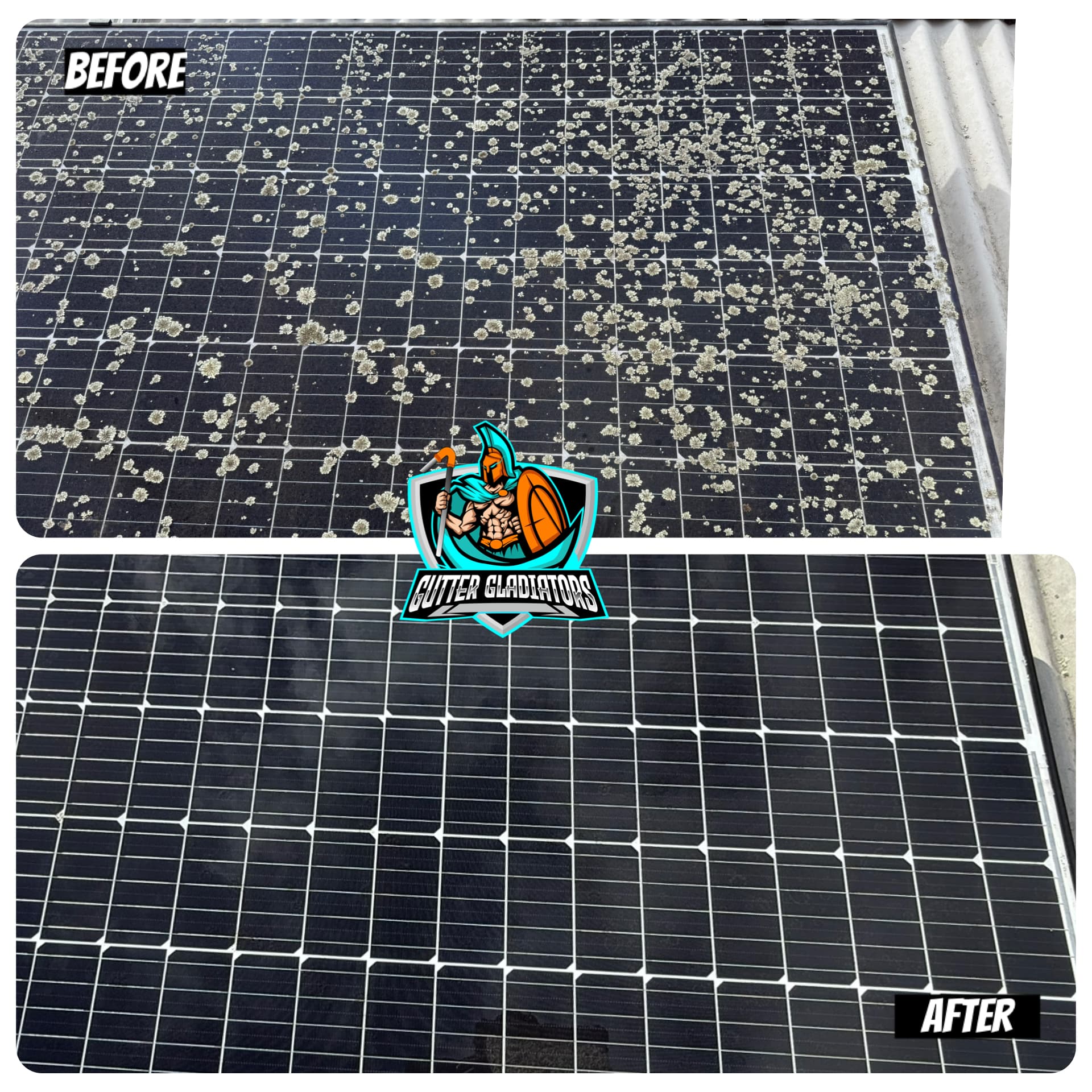 Top: lichen and grime blocking the sun on these panels. Bottom: cleaned and clear, ready to produce again.